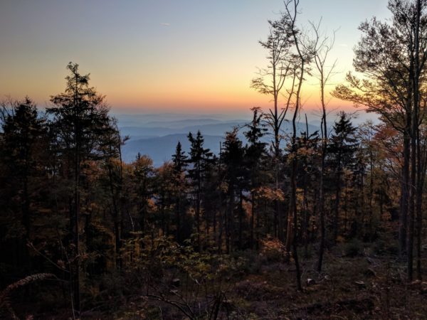 Blick vom Hohen Bogen